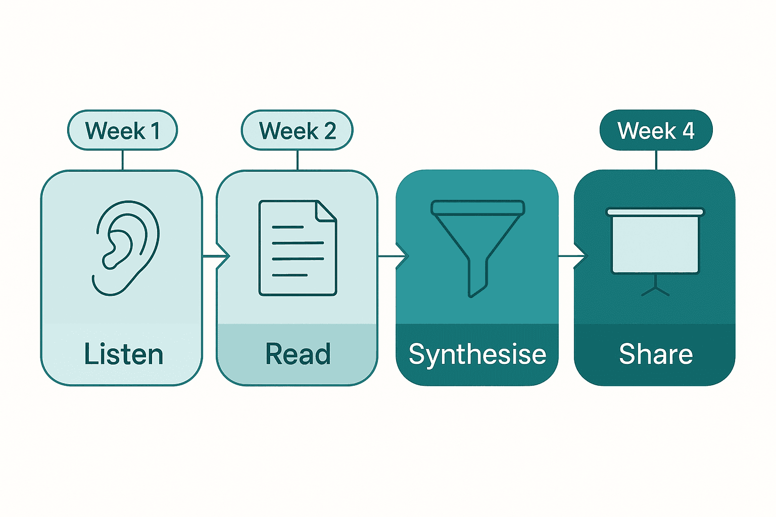 Timeline of the four-week audit process: listen, read, synthesise, then share and decide